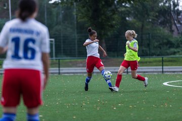 Bild 139 - C-Juniorinnen HSV - Walddoerfer : Ergebnis: 9:1